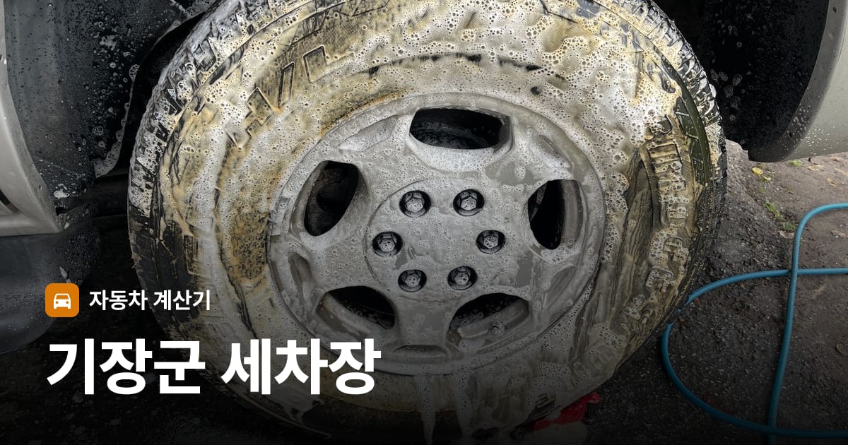 자동차 세차