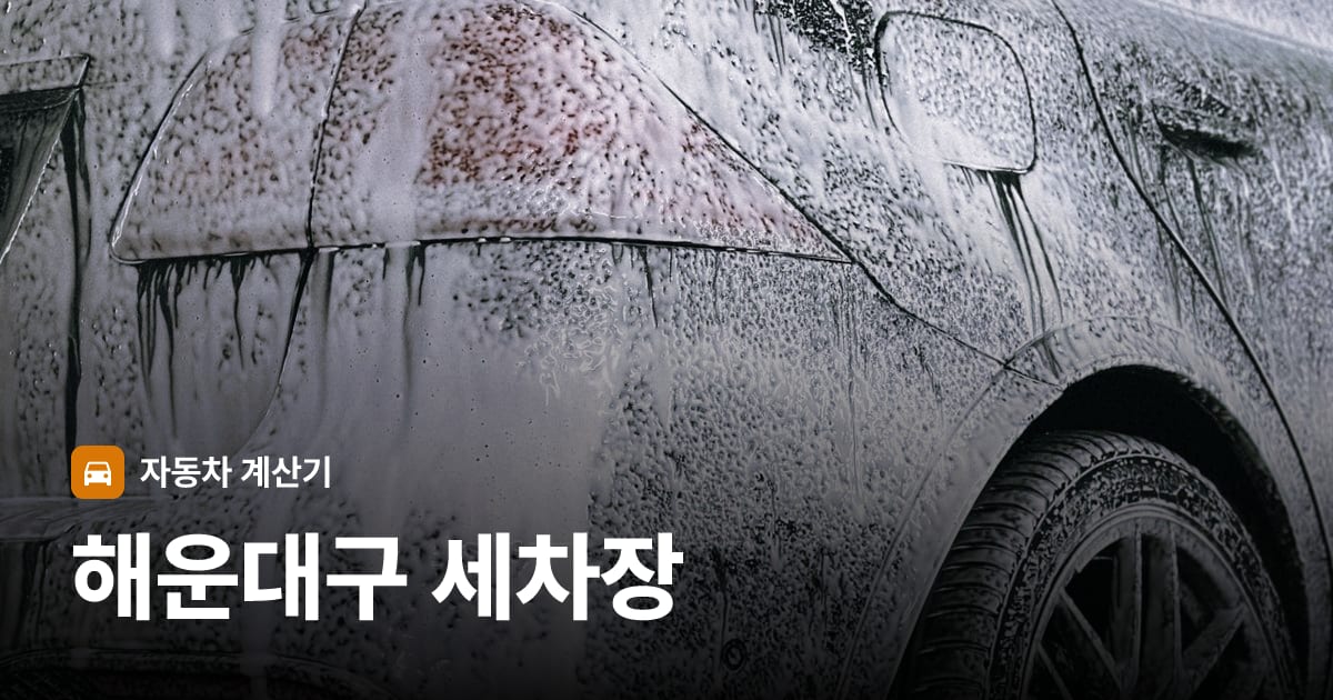 자동차 세차