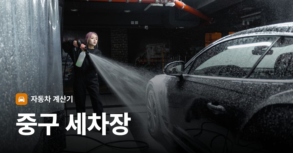 자동차 세차