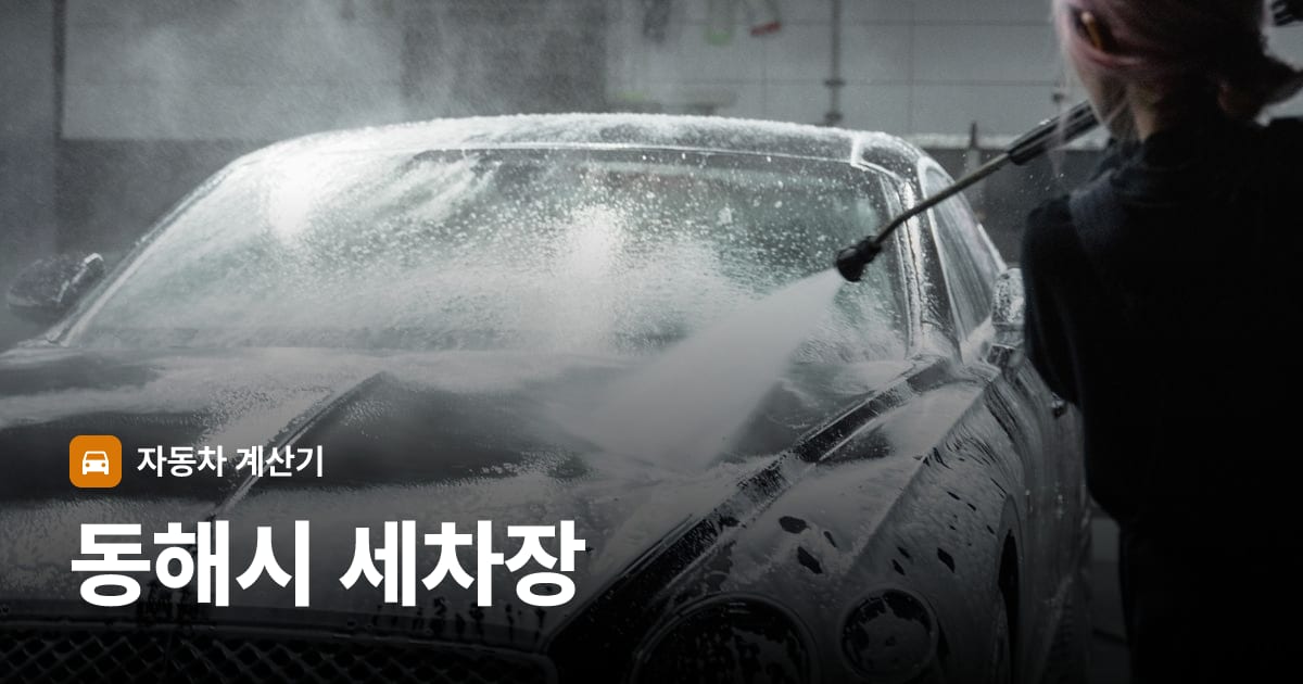 자동차 세차