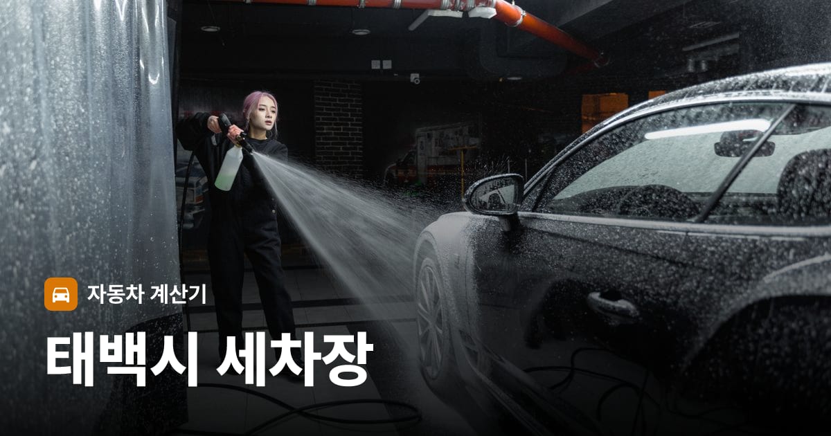 자동차 세차