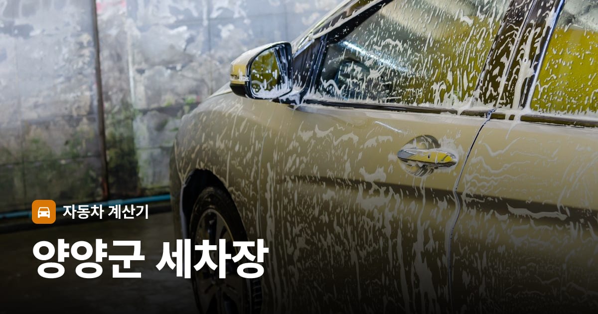 자동차 세차