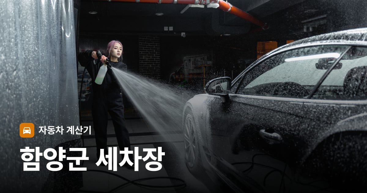 자동차 세차