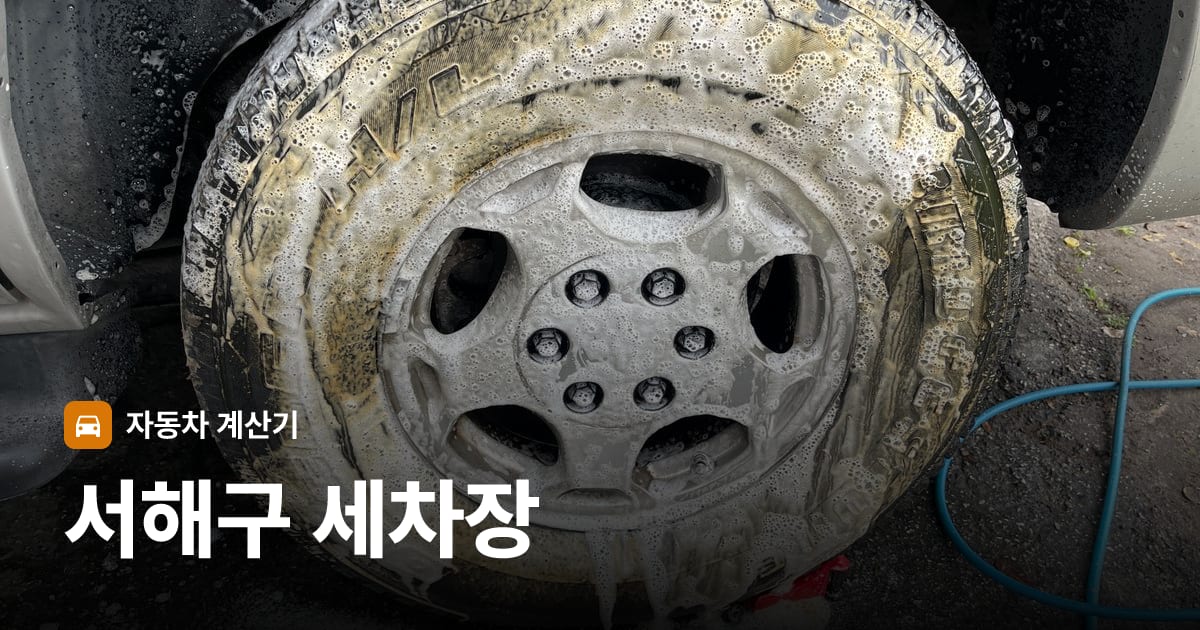 자동차 세차