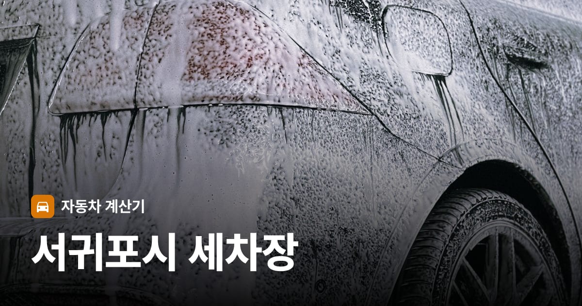 자동차 세차