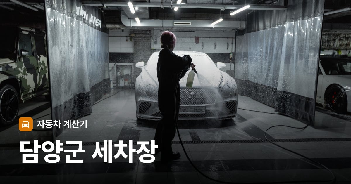 자동차 세차