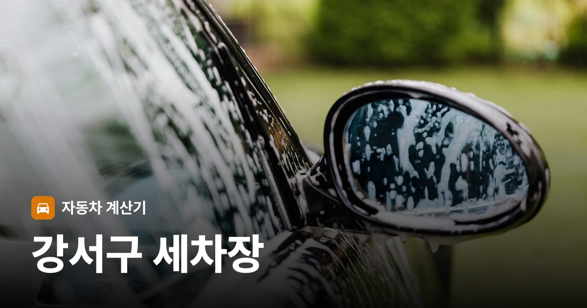자동차 세차