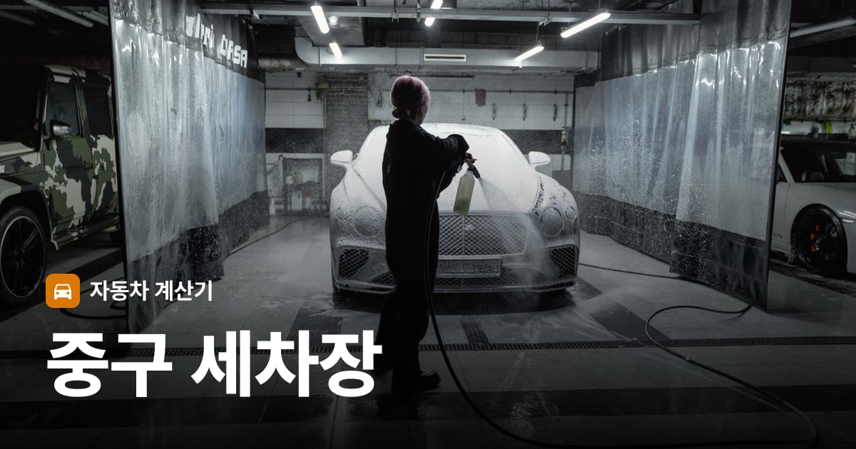 자동차 세차