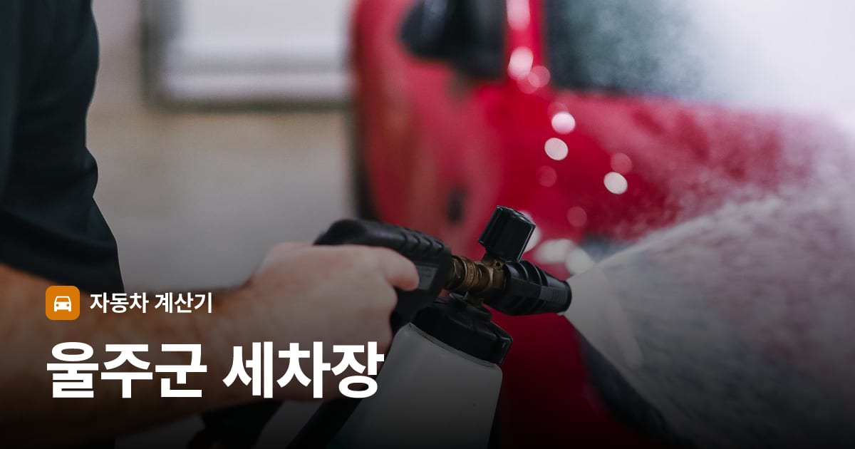 자동차 세차
